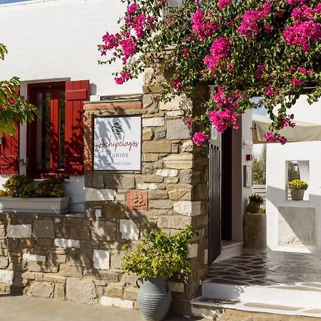 Archipelagos Studios ناوسا المظهر الخارجي الصورة
