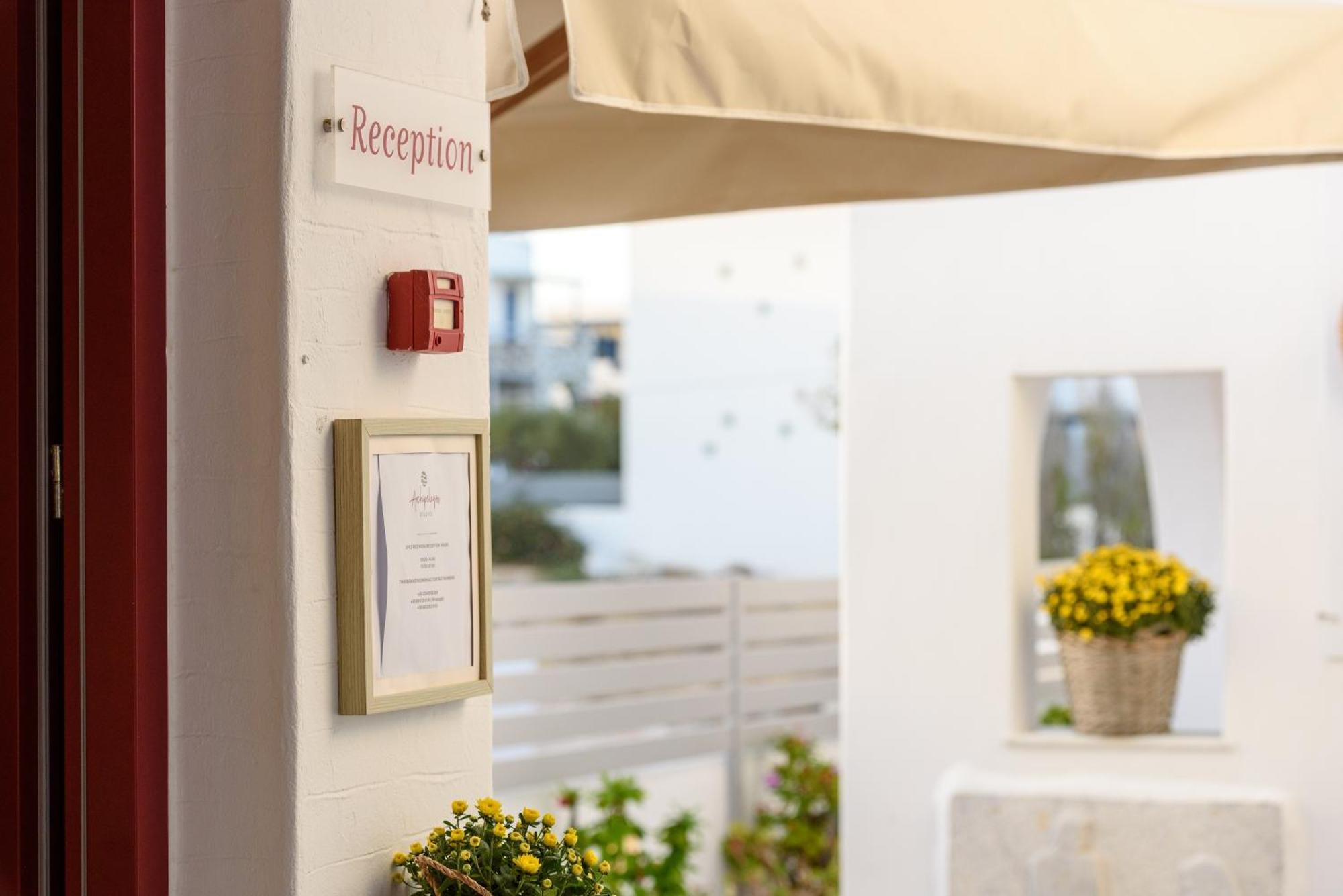 Archipelagos Studios ناوسا المظهر الخارجي الصورة